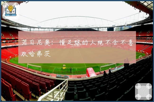 若日尼奥：懂足球的人绝不会不喜欢哈弗茨