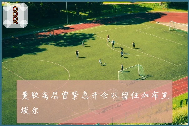 曼联高层曾紧急开会以留住加布里埃尔