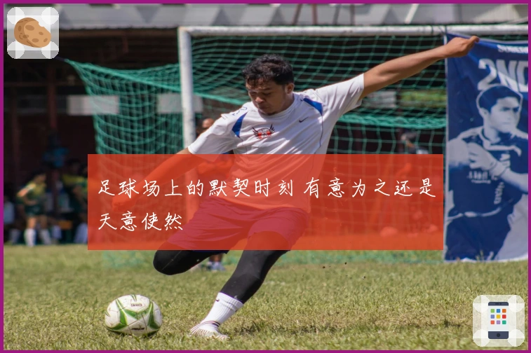 足球场上的默契时刻 有意为之还是天意使然