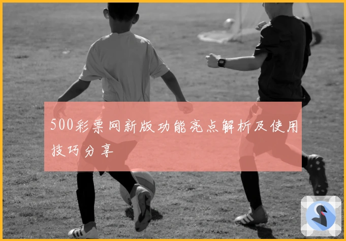 500彩票网新版功能亮点解析及使用技巧分享