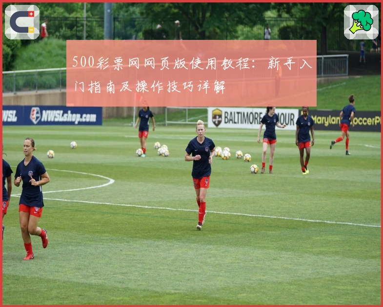 500彩票网网页版使用教程:新手入门指南及操作技巧详解
